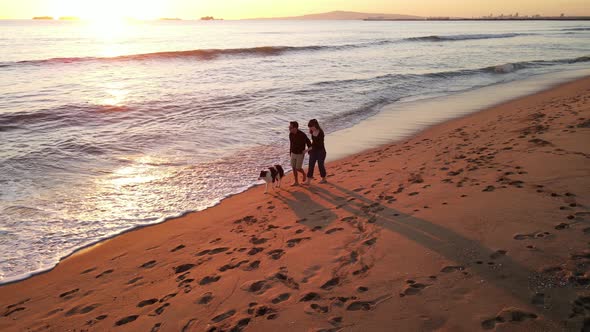 Aerial shot of a couple walking their dog on the beach