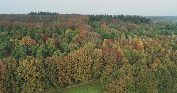 Aerial view of hills and autumn forest, Berg en Dal, Gelderland, Netherlands.