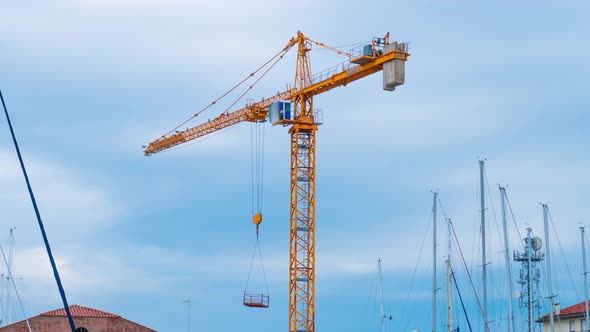 A Crane Turns Left and Right