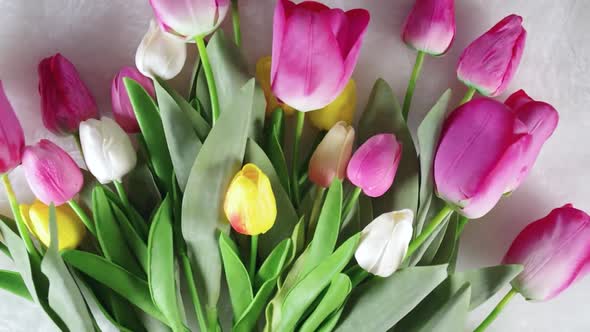 Large bouquet spring holiday tulip flowers