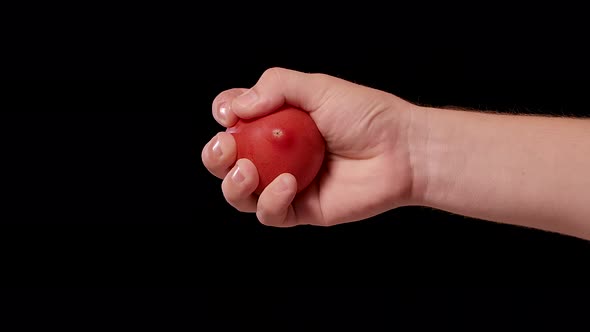 Male Hand Crushing Fresh Red Tomato and Exposing All the Seeds Juice and Flesh Inside the Healthy