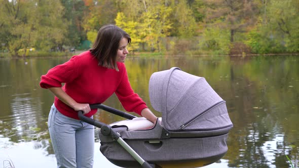 Woman with baby carriage in the park 