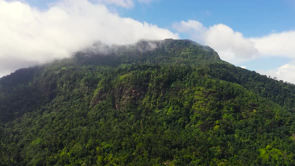Mountains with Rainforest and Jungle in the Mountainous Province of Sri Lanka