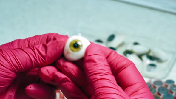 New plastic eye prosthesis in hands with pink gloves.