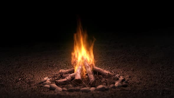 Animation Of A Campfire In Nature alt
