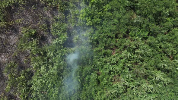 Bush Fire from Above 37