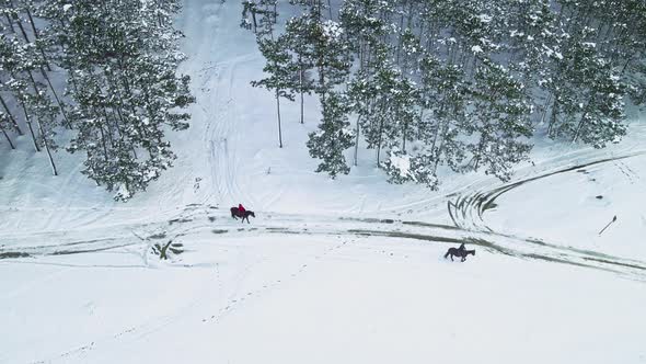 Aerial View Horsesleigh in a Winter Wonderland