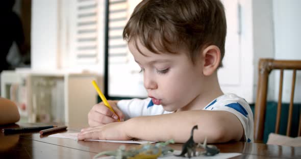 Happy Little Boy or Cute Primary Child School Child of 7-8 Years Old at Home Relaxing Sits in House