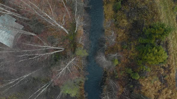 Aerial, drone shot, close to the trees, above a river, surrounded by leafless, autumn forest, on a c