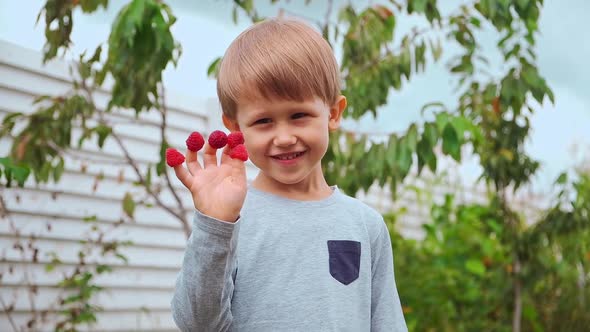 Happy Child 4 Years Old Holding Hands on Fingers and Eating Raspberries in Backyard