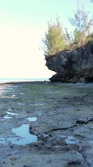 Tanzania  Vertical Video of Low Tide in the Ocean Near the Coast of Zanzibar Slow Motion