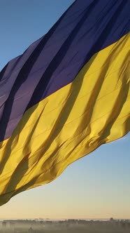 Vertical Video National Flag of Ukraine By Day