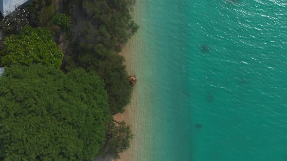 Aerial Flight above houses on the beach with palm trees and torques water. Paradise tropical island