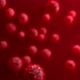 Covid 19 Coronavirus particles floating in the blood - VideoHive Item for Sale