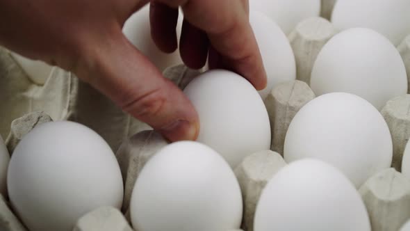 Hand Placing Many White Eggs and One Brown Egg on Platform  Close Up