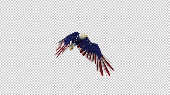 American Eagle - USA Flag - Flying Transition - I - 4K