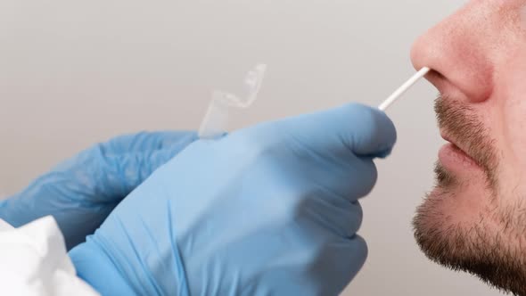 A Healthcare Worker Taking a Nasal Swab Probe for PCR Testing Coronavirus Covid19 Infection