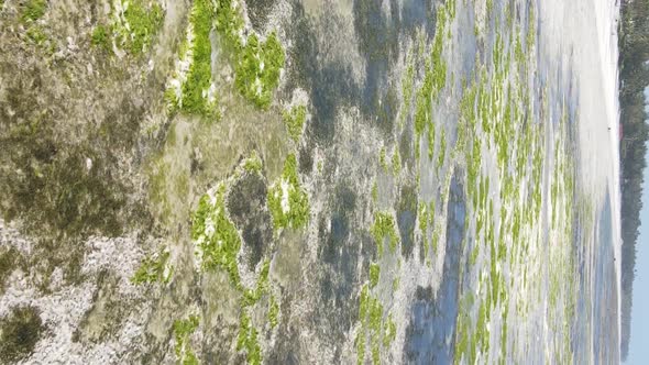 Vertical Video of Low Tide in the Ocean Near the Coast of Zanzibar Tanzania Aerial View