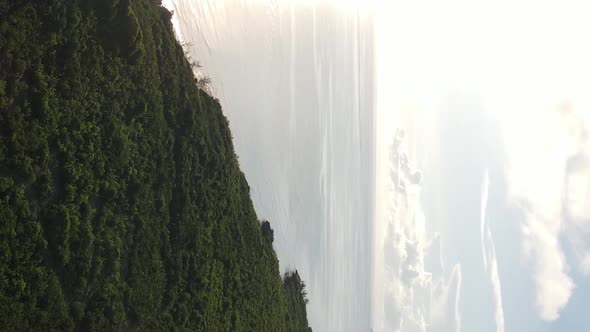 Zanzibar Tanzania  Coast of Island Covered with Thickets Slow Motion