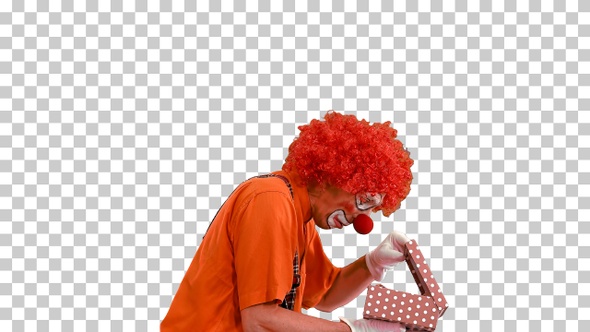 Clown carrying a gift box and looking inside of it, Alpha Channel