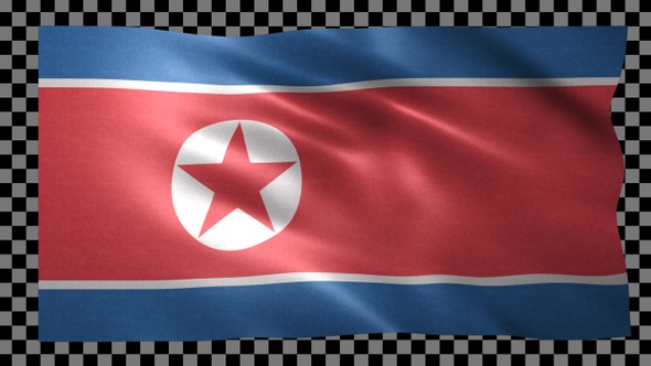 North Korea waving flag looped alt