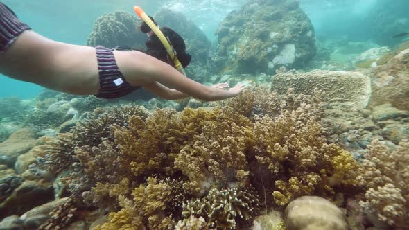 Young Brunnette Woman Snorekeling and Swimming Under the Sea.