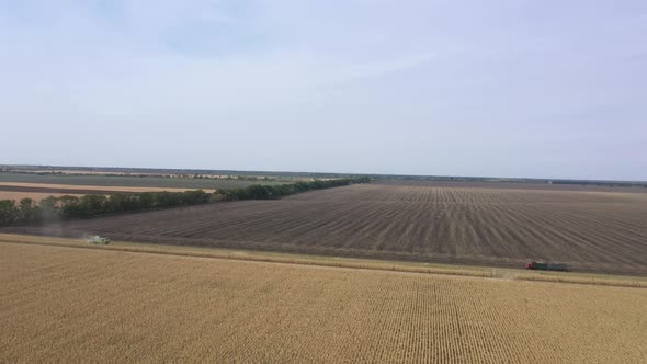 Different Combine Machines Harvesting Corn In The Field 19