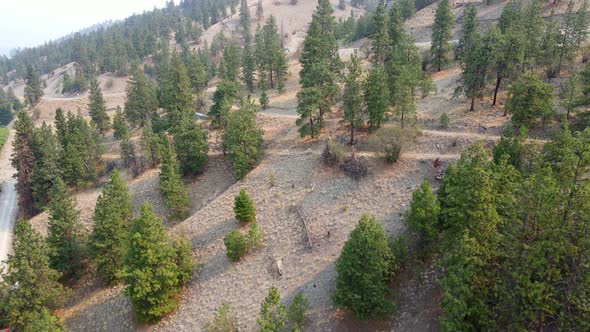 The dry hills of Lake Country, British Columbia covered with only few coniferous trees. Aerial pull