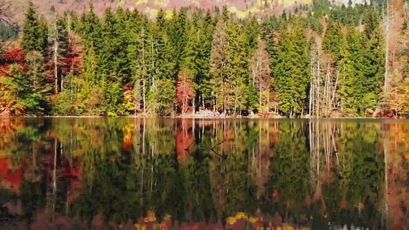 Reflection Of Colorful Autumn Trees By Lake