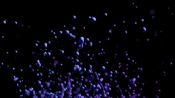 Blue And Purple Paint Splashing With Droplets Into Air