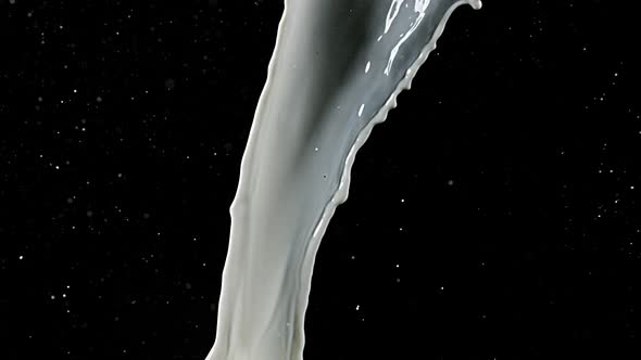 Milk spurting out against Black Background, Slow motion