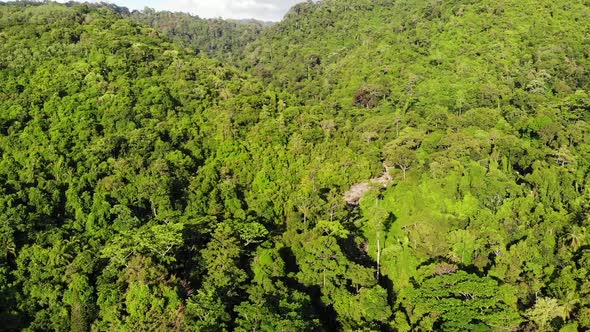 Green Jungle on Hills. Tropical Trees Growing on Hilly Terrain on Koh Samui Island. Way To Waterfall