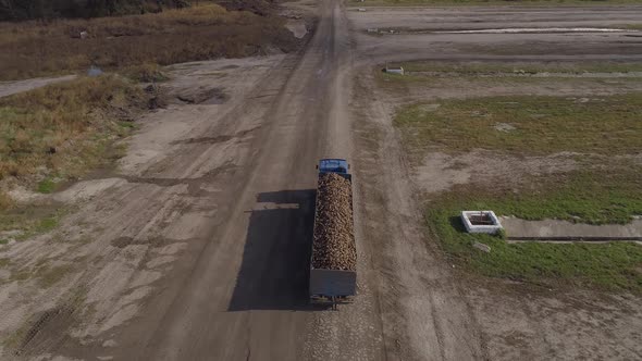 The Movement of a Truck with a Trailer Filled with Sugar Beets