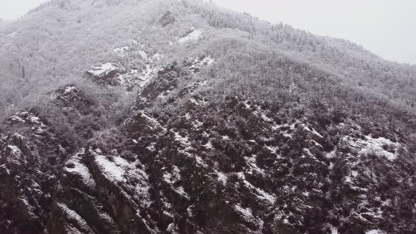 Aerial Forest view - Winter Landscape Aerial view