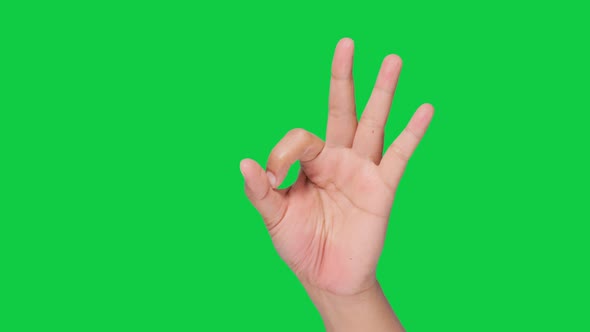 HAND (Green Sceen) hand signal - OK