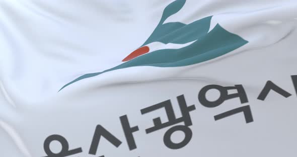 Ulsan Flag, South Korea