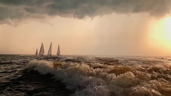 A Few Sailboats in a Sea at Sunset Magic Sun Reflection Sun Path the Sky of Pink Color the Darkness