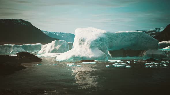 Many Melting Icebergs in Antarctica