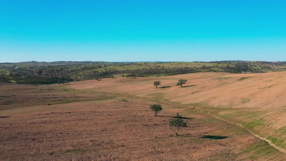 Aerial View Green Rural Landscape Alentejo