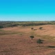 Aerial View Green Rural Landscape Alentejo - VideoHive Item for Sale