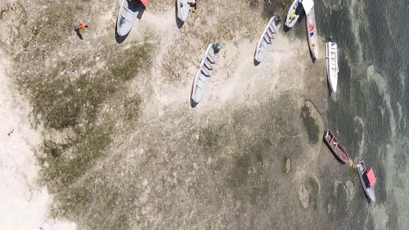 Vertical Video of Low Tide in the Ocean Near the Coast of Zanzibar Tanzania Aerial View