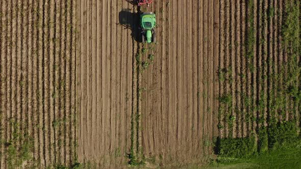 Potatoe harvest as top down shot. View from a drone down to a tractor with a harvesting trailer and