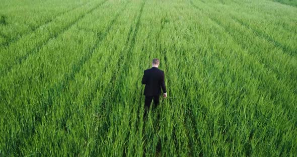 Business Man in Suit Walking on Green Wheat