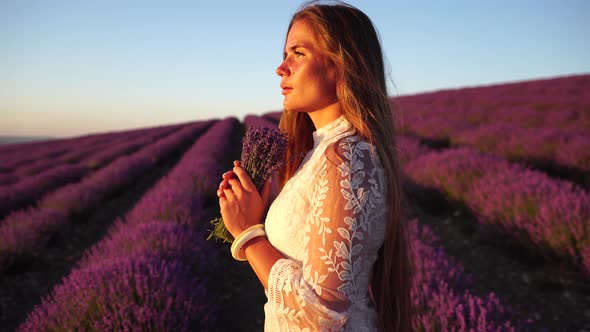 Young Woman with Long Hair Gently Caress Lavender Bushes with Hand