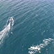 Fishing boat at the ocean - VideoHive Item for Sale
