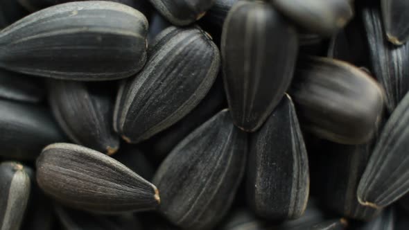 Sunflower Seeds Close Up