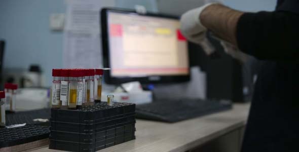 Scientist Testing Blood Samples In Laboratory