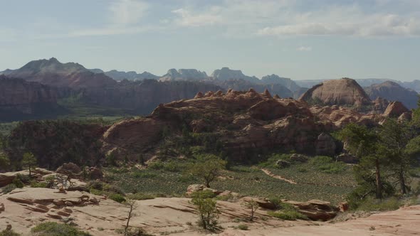 Slowly emerging from trees into a wide vista within Zion National Park