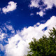 Clouds And Tree - VideoHive Item for Sale