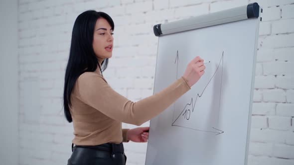 Female freelancer writing on a board